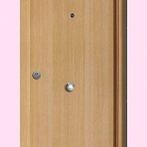 PUERTA BLINDADA 2